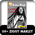 ziggy marley, Discographie ziggy marley, Hey World !, Conscious Party, One Bright Day, Jahmekya, Joy and Blues (Ziggy Marley & the Melody Makers), Free Like We Want 2 B (Ziggy Marley & the Melody Makers), Fallen Is Babylon, Best of Ziggy Marley, Spirit of Music,Dragonfly (album), The Marley Family Album, Love Is My Religion, Love Is My Religion live, Ziggy live from Soho, Family Time, Wild And Free, Tomorrow People, Tumblin Down, Time Has Come, Tomorrow People, Look Who’s Dancing, Tumblin Down, Kozmik / Rainbow Country, Good Time, Lee&molly, People Get Ready, Free Like We Want 2 B, All Love B/W Lee & Molly, Power To Move Ya, Brothers And Sisters, www.estimvinyl.com, 