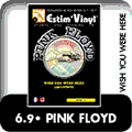 Pink Floyd, estimation Floyd, wish you were here, www.estimvinyl.com