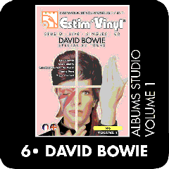 Cote argus David Bowie, David Bowie, Space Oddity, The Man Who Sold the World, Hunky Dory, The Rise and Fall of Ziggy Stardust and the Spiders from Mars, www.estimvinyl.com